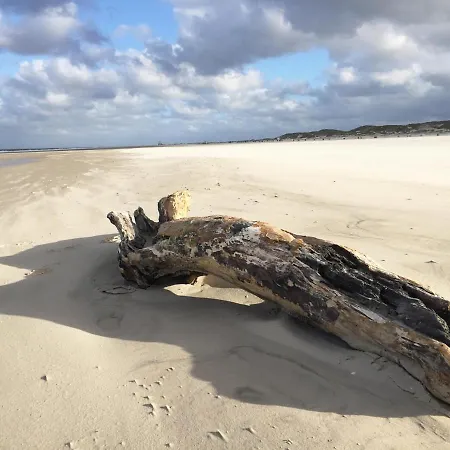 Friesenhaus Amrum Friesenhaushaelfte *kloenschnack* * Suddorf